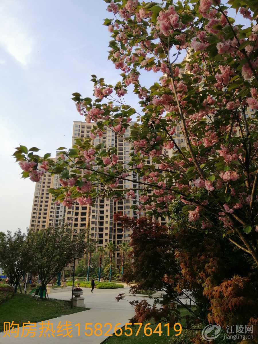 IMG_20200502_202958.jpg