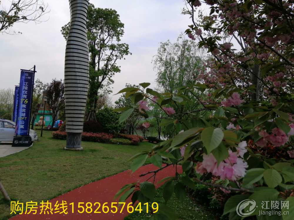 IMG_20200502_202718.jpg