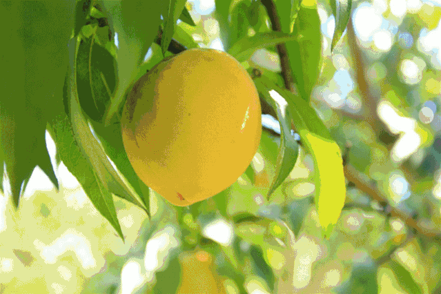 ΢��ͼƬ_20200519102629.gif