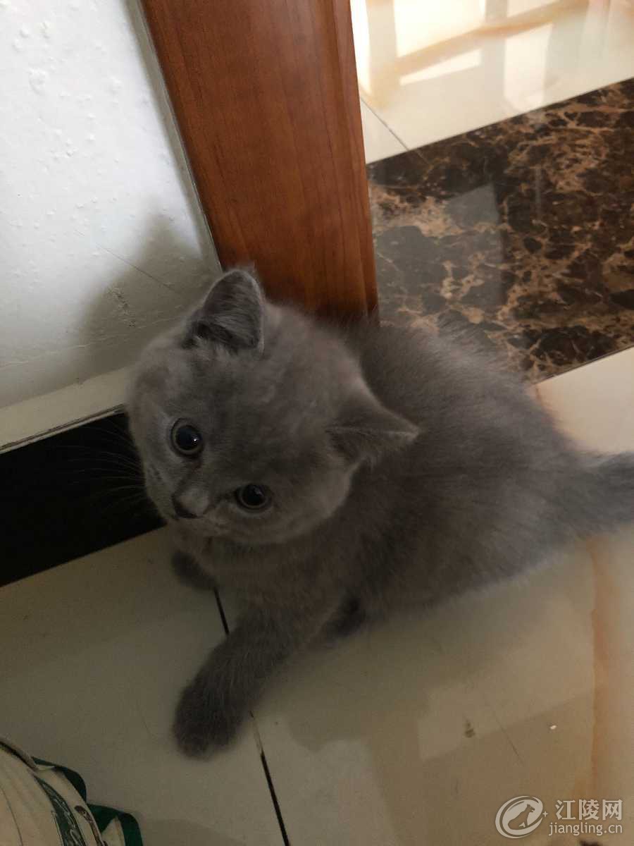 0CC40408-AB3D-4B5F-BC51-7DB67B44F2FD.jpeg