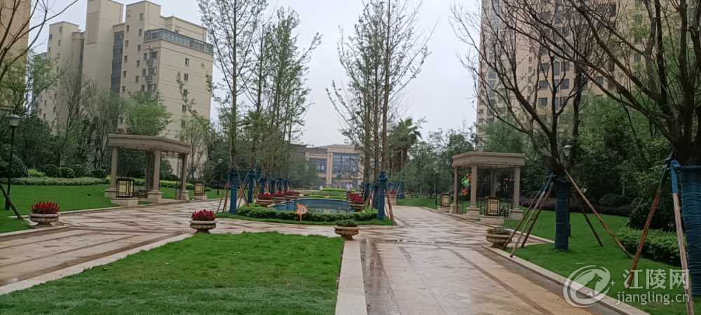wx_camera_1592701565105.jpg