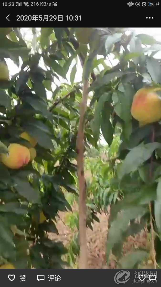Screenshot_2020-06-25-10-23-53-52.png