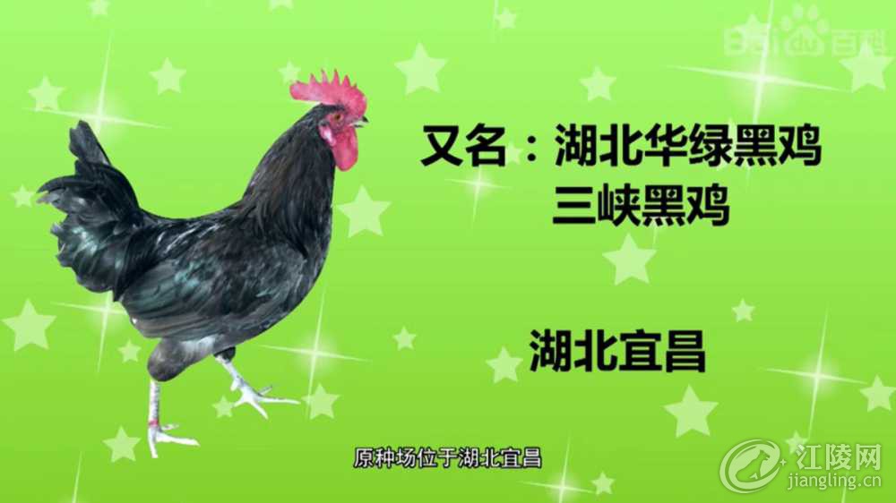B6AF877E-AC4E-40A6-9FFD-683EA588392A.jpeg