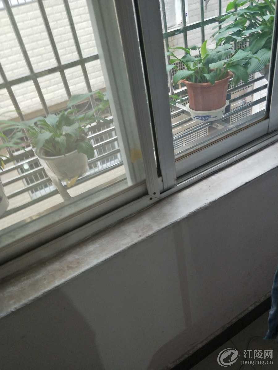 IMG20200704081744.jpg