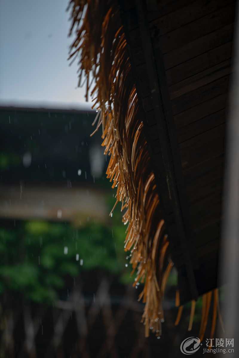 4136927A-AC7E-4987-95FF-743D918A11E0.jpeg