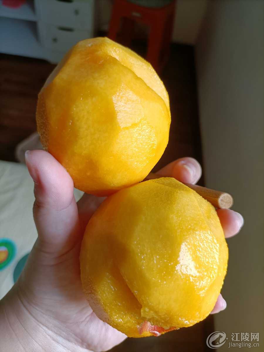 IMG20200730125151.jpg