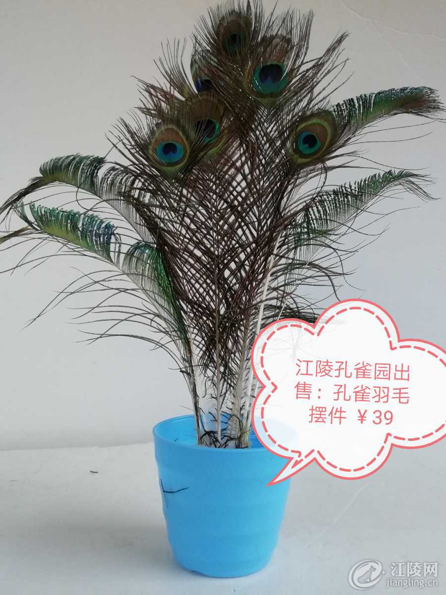 IMG_20191009_194810.jpg