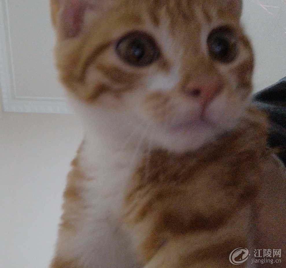 wx_camera_1598447643365.jpg