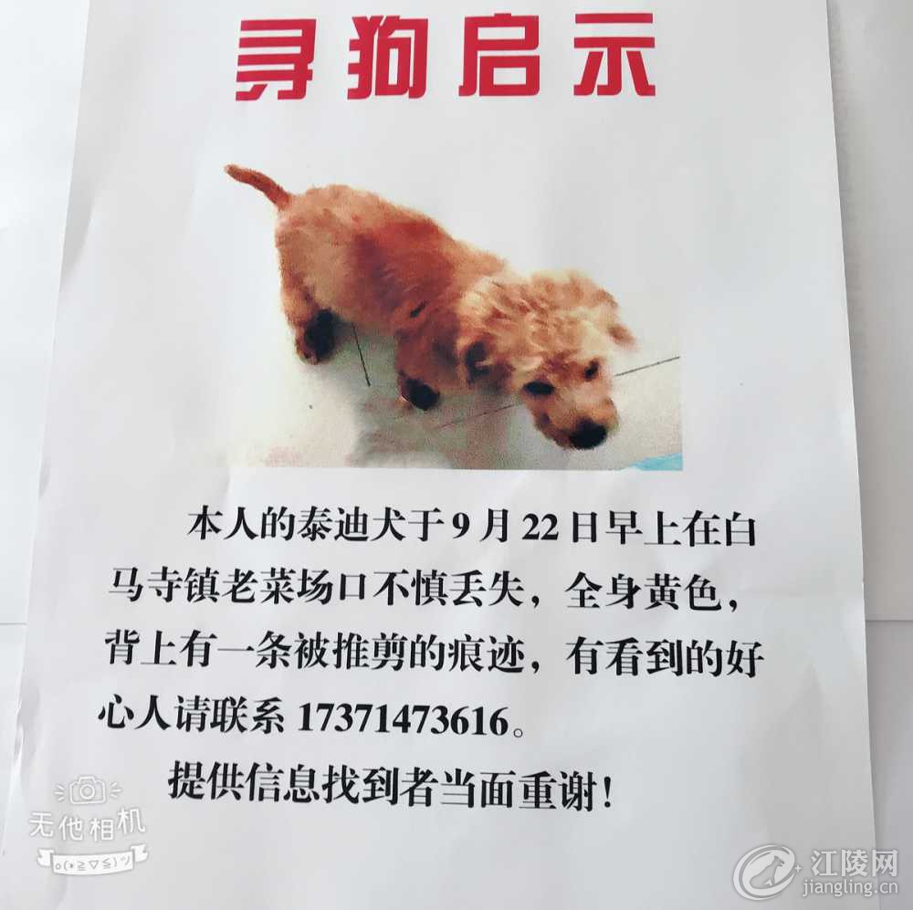 770F8FF6-887C-49A9-B8A6-04C10845D242.jpeg