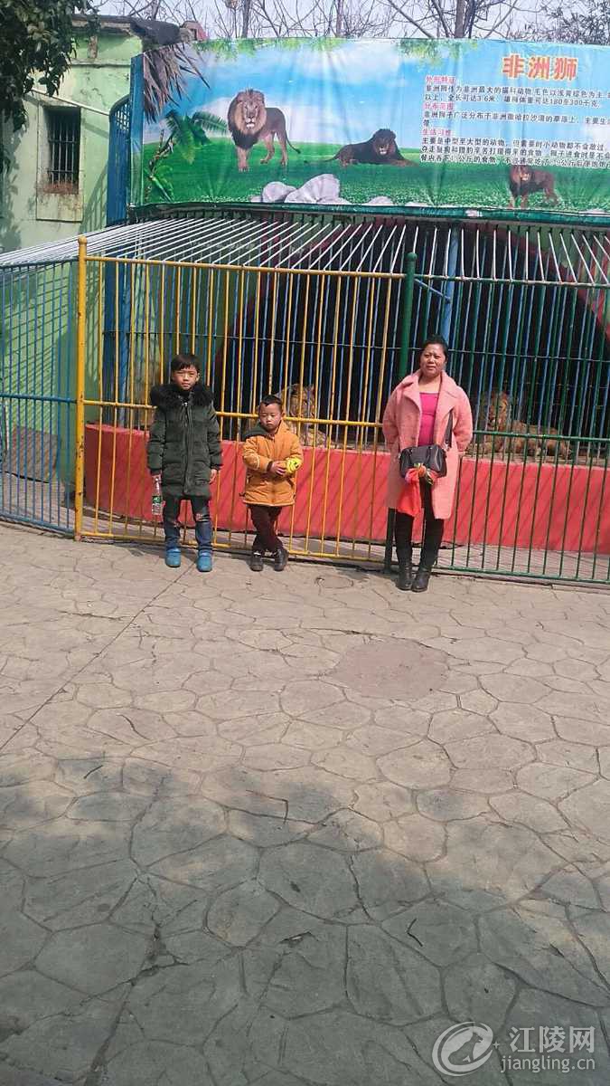 mmexport1601565969005.jpg