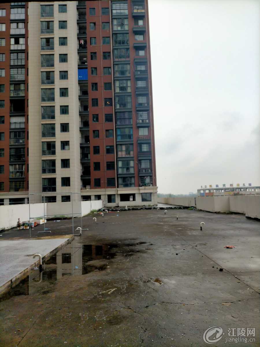 IMG20201007101314.jpg