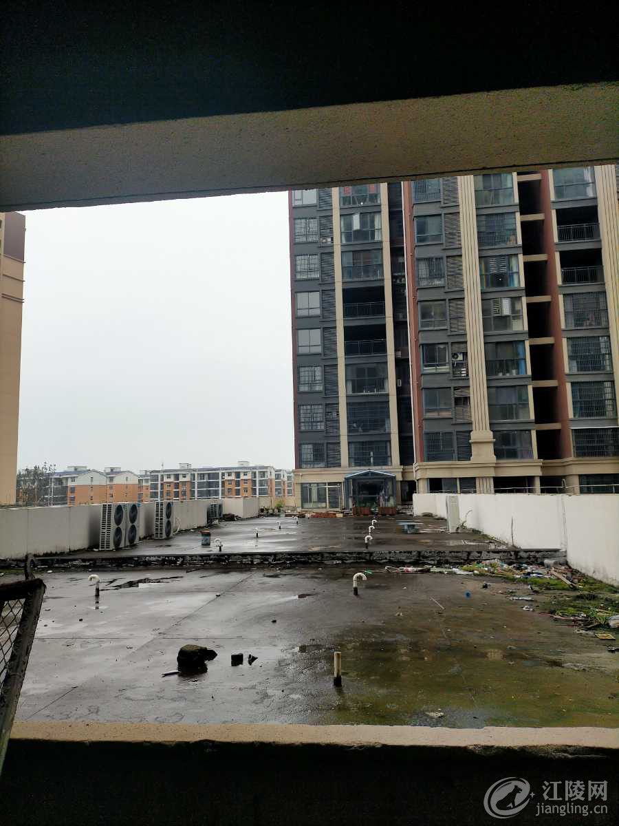 IMG20201007101257.jpg