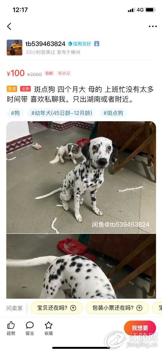 43E6DB66-31C2-49B8-9272-6F60F1E7D0D9.png