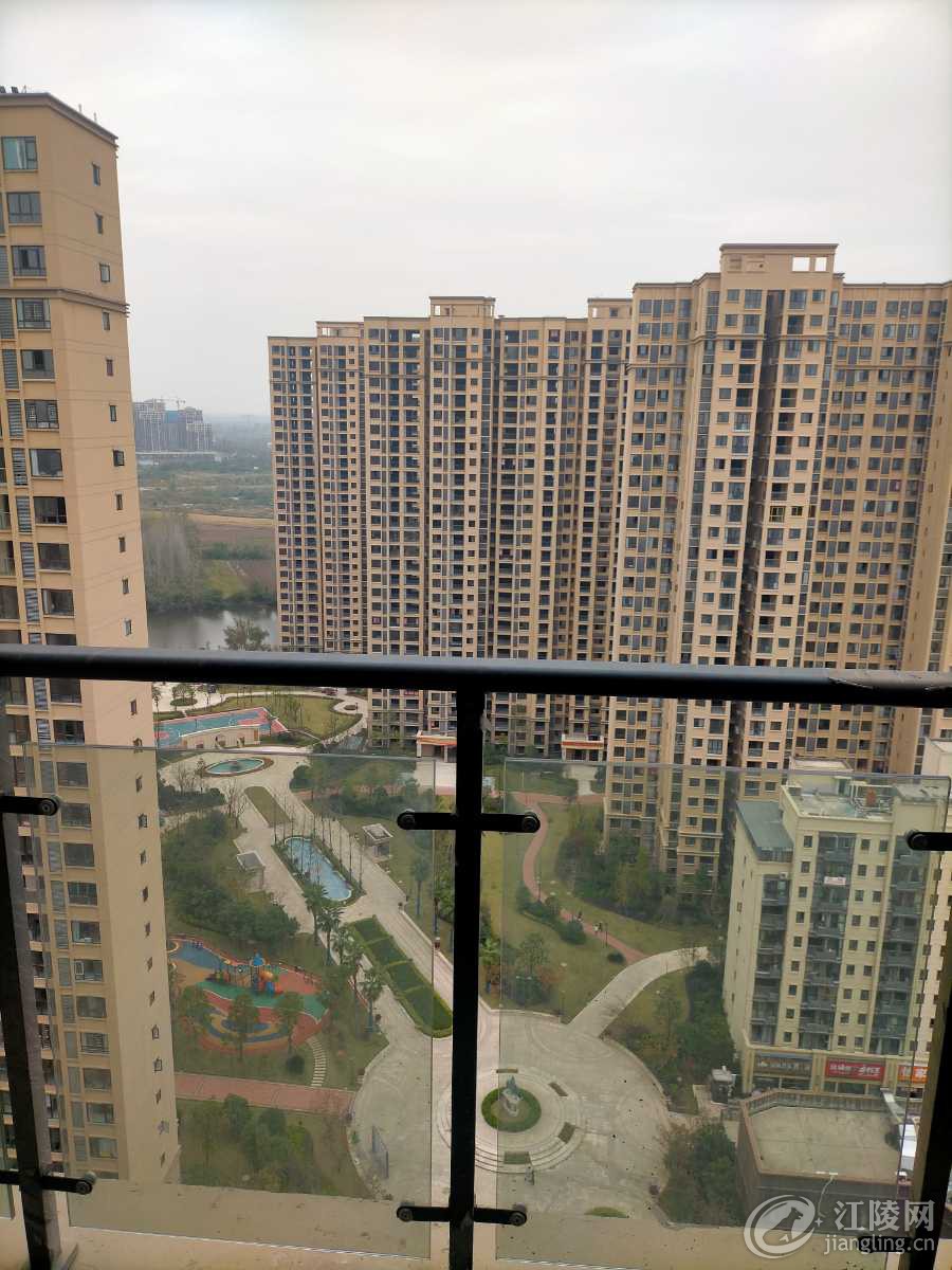 IMG20201103115638.jpg