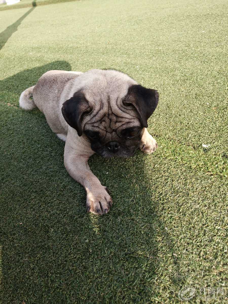 1605056821774.jpg