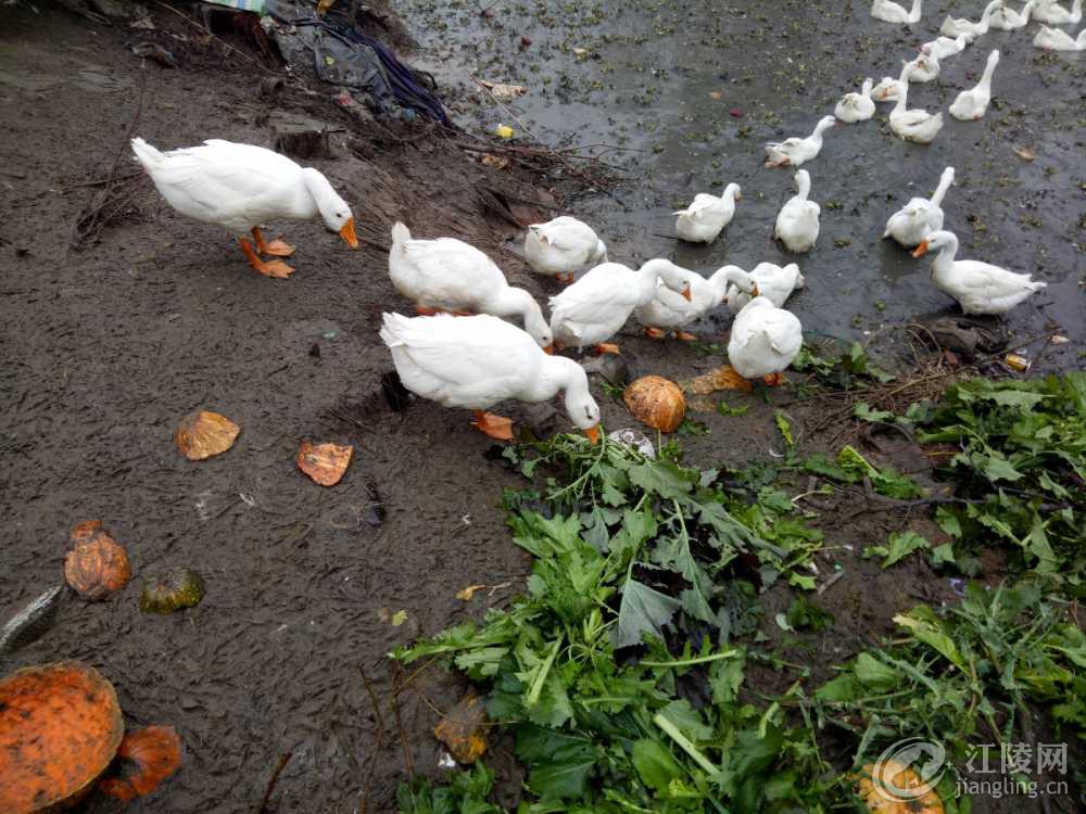 IMG20201209091707.jpg