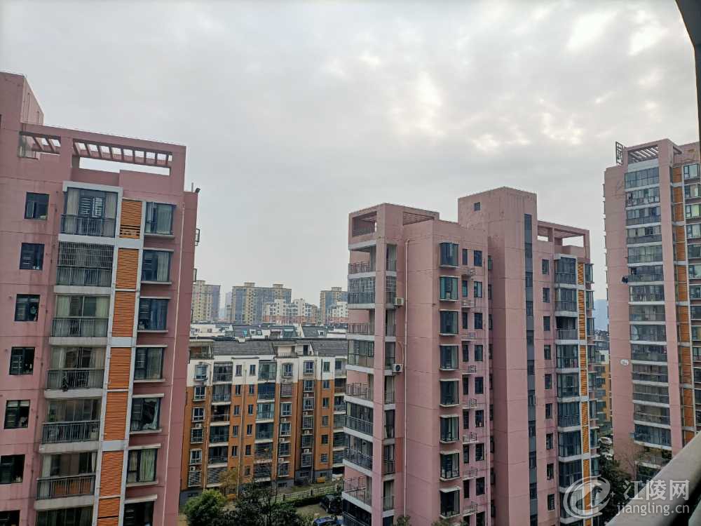 IMG20201219153040.jpg