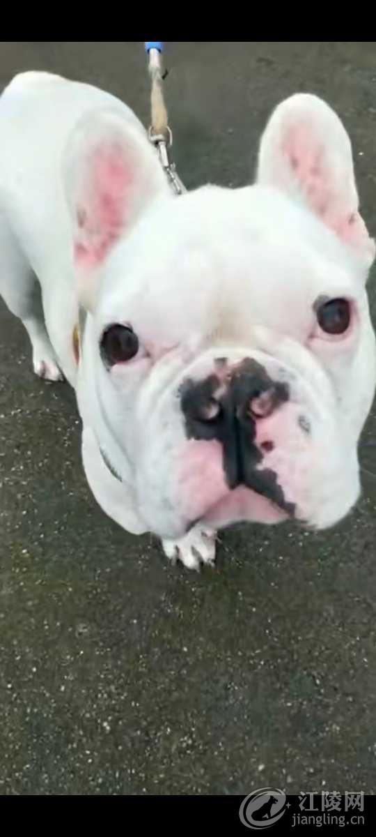 Screenshot_20201202_205528.jpg