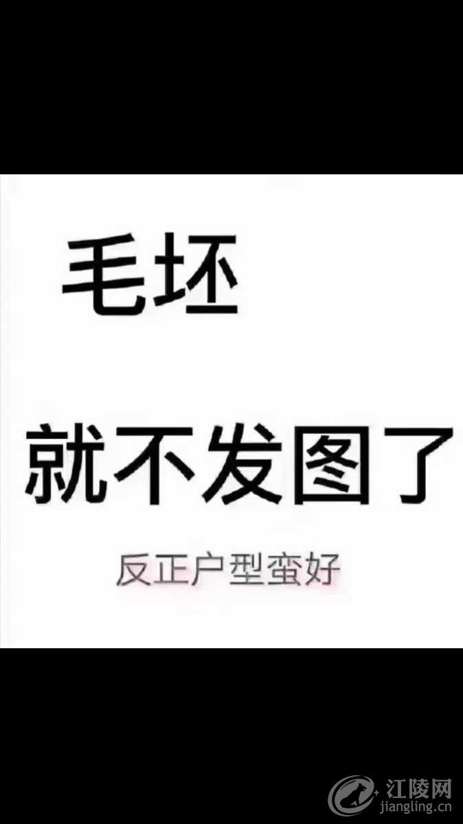 669D6AF3-C270-4DB4-8729-D32CC0AB20EB.jpeg