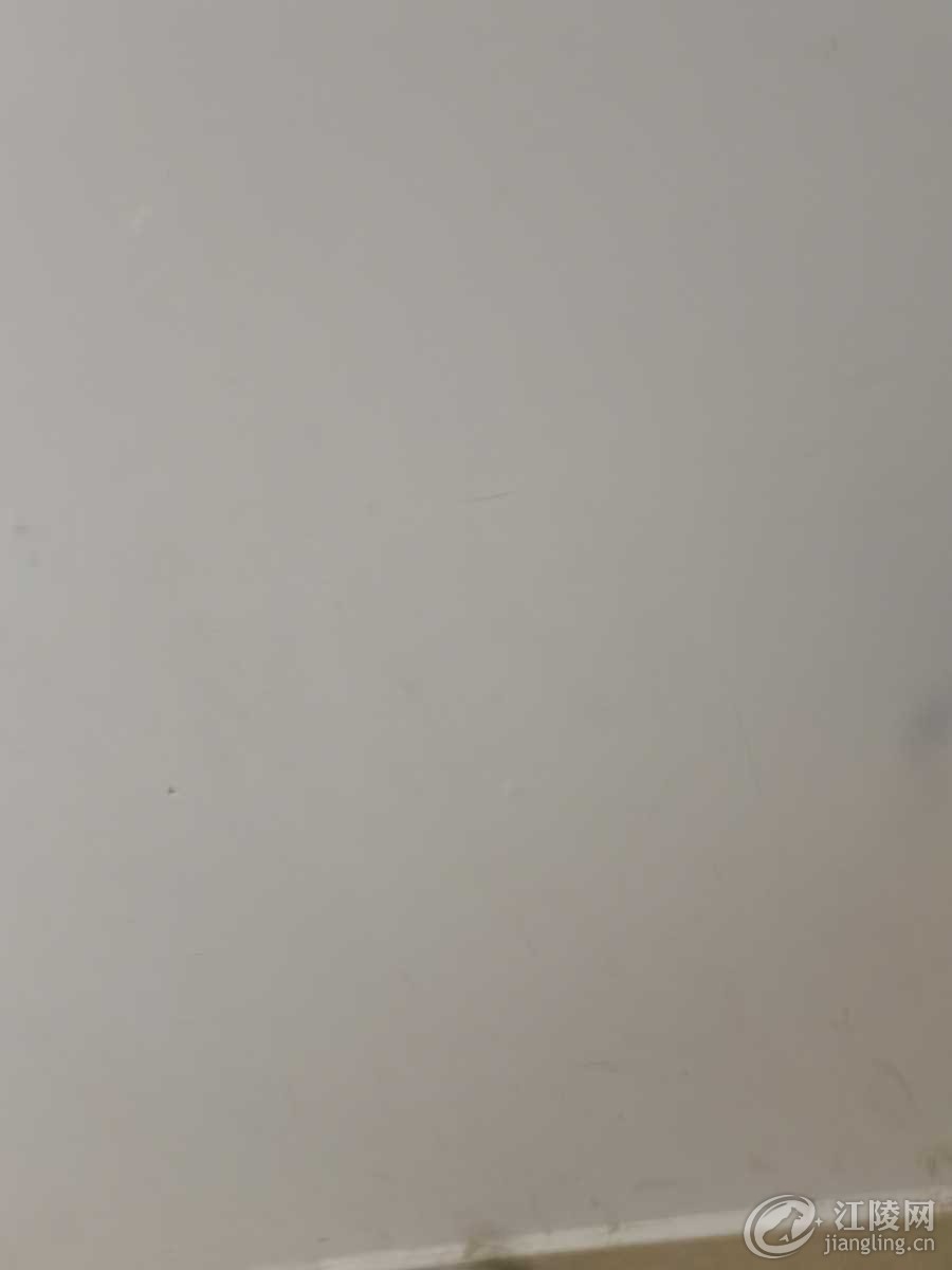1609766020844.jpg