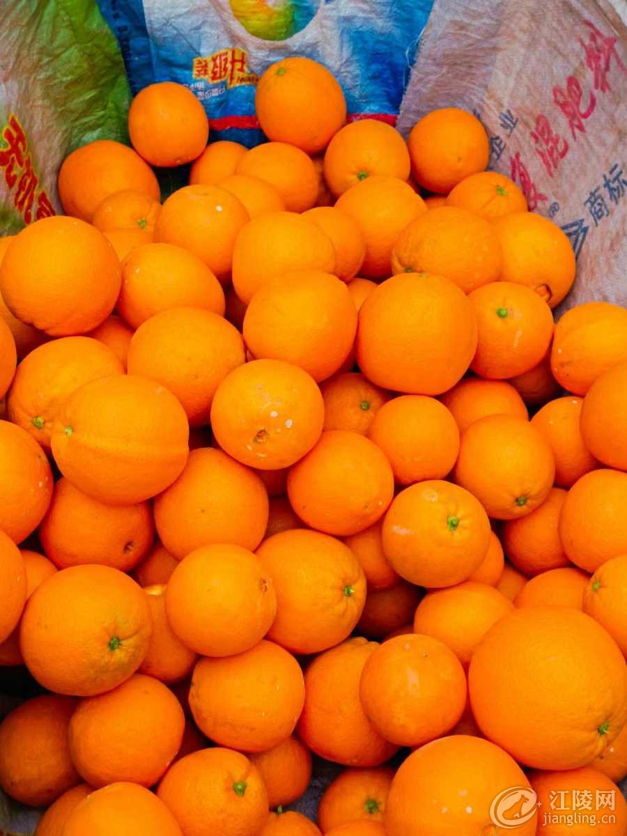 16F35C67-1EDA-450D-B0F4-34356E6F0242.jpeg