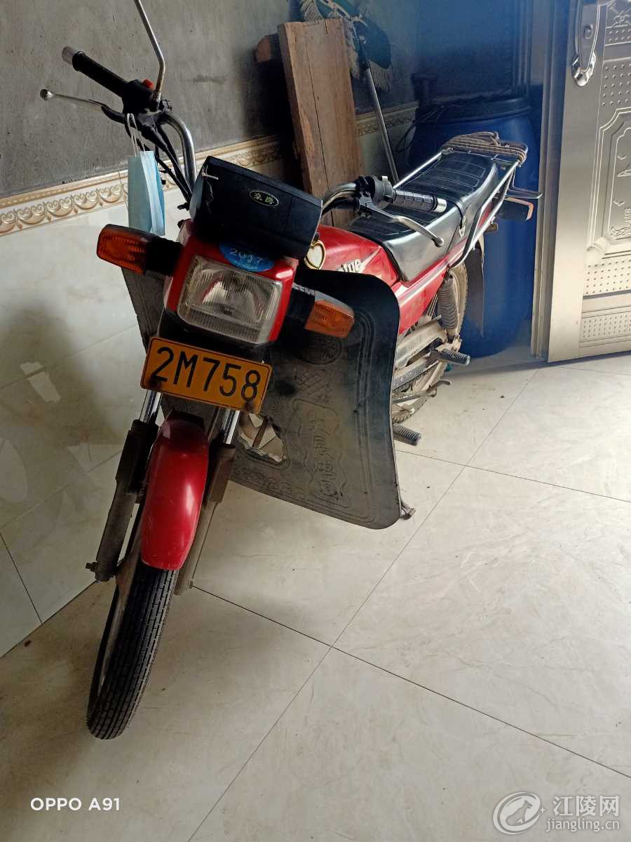 IMG20210225170145.jpg