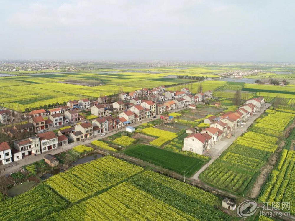 ΢��ͼƬ_20210308101858.jpg