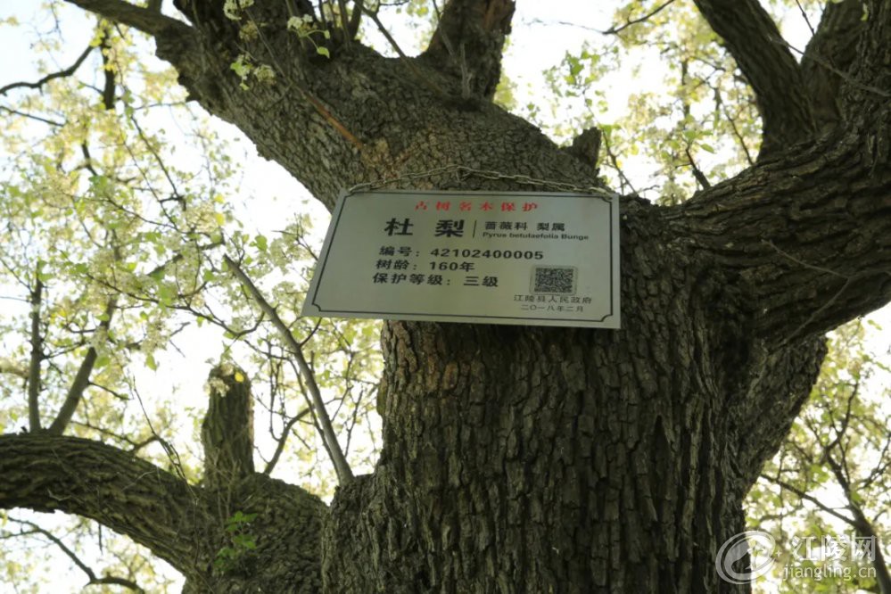 640.webp (13).jpg