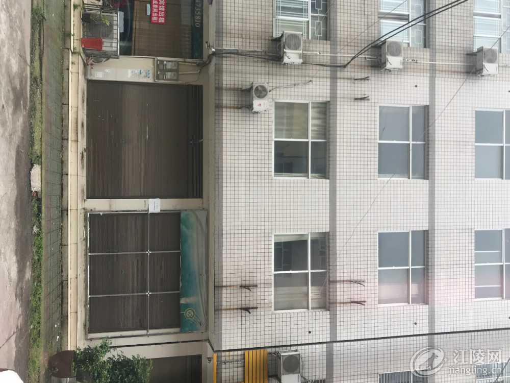 E646020A-25F5-4DBE-9A04-C2D2BF27F24F.jpeg