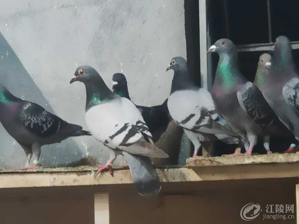 IMG20210529220951.jpg