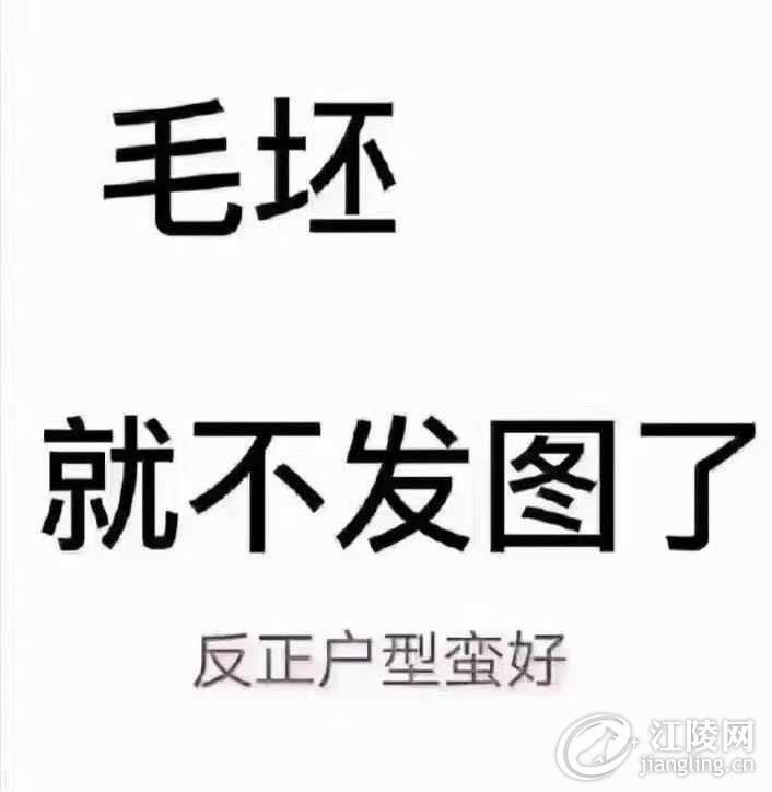 B621D69D-3409-4891-A6FA-64A96E67EEF2.jpeg