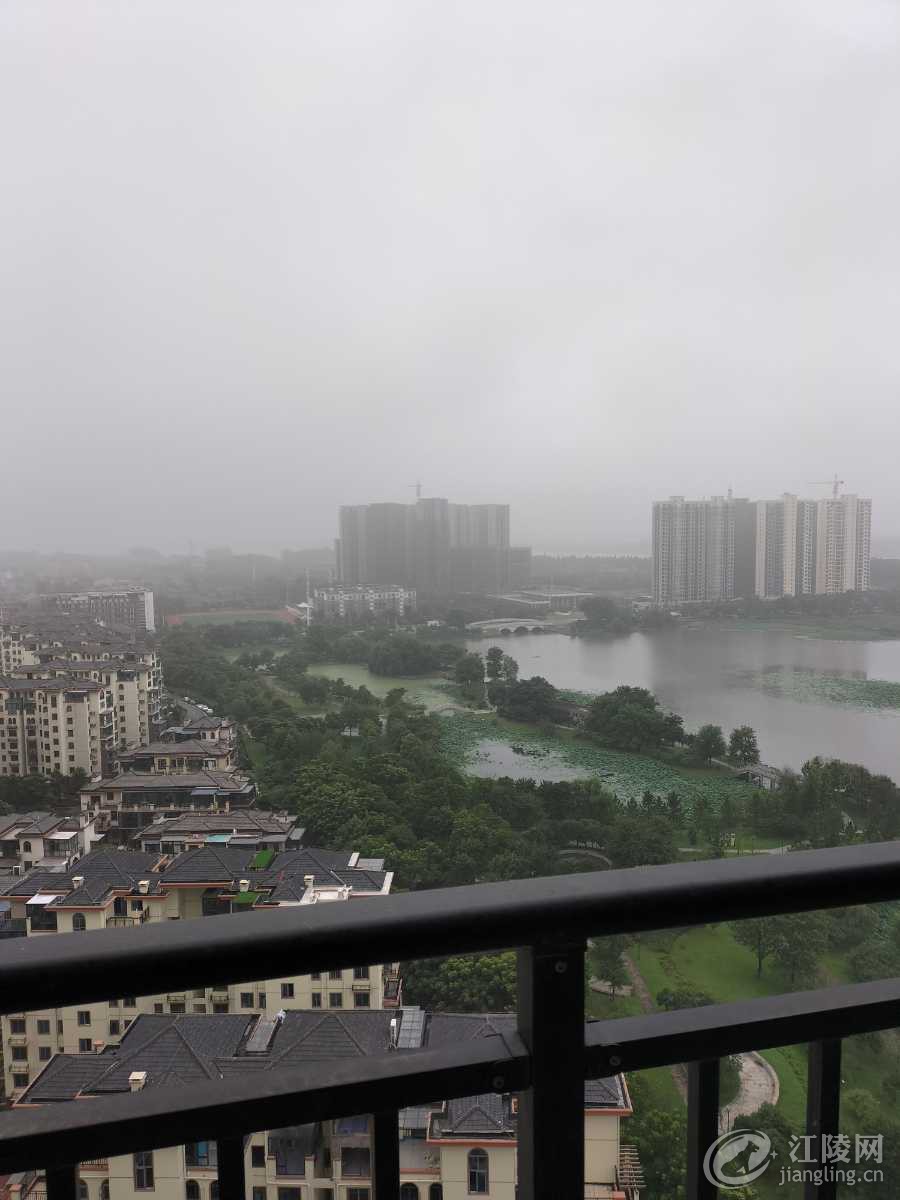IMG20210627103036.jpg