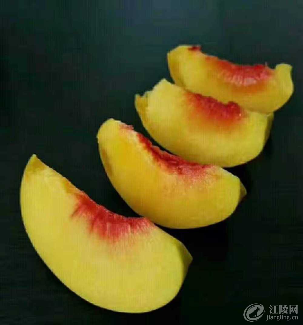 15FA751A-AC25-4FBB-B313-D02F57A8E1C7.jpeg