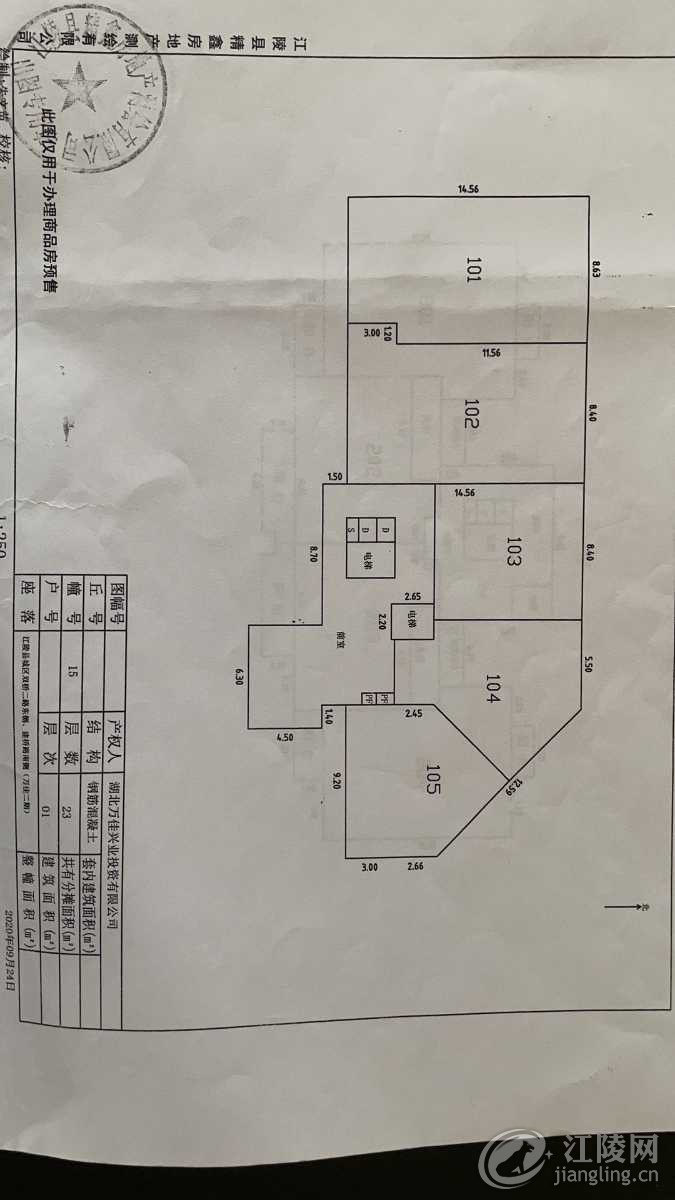 mmexport1628752998915.jpg