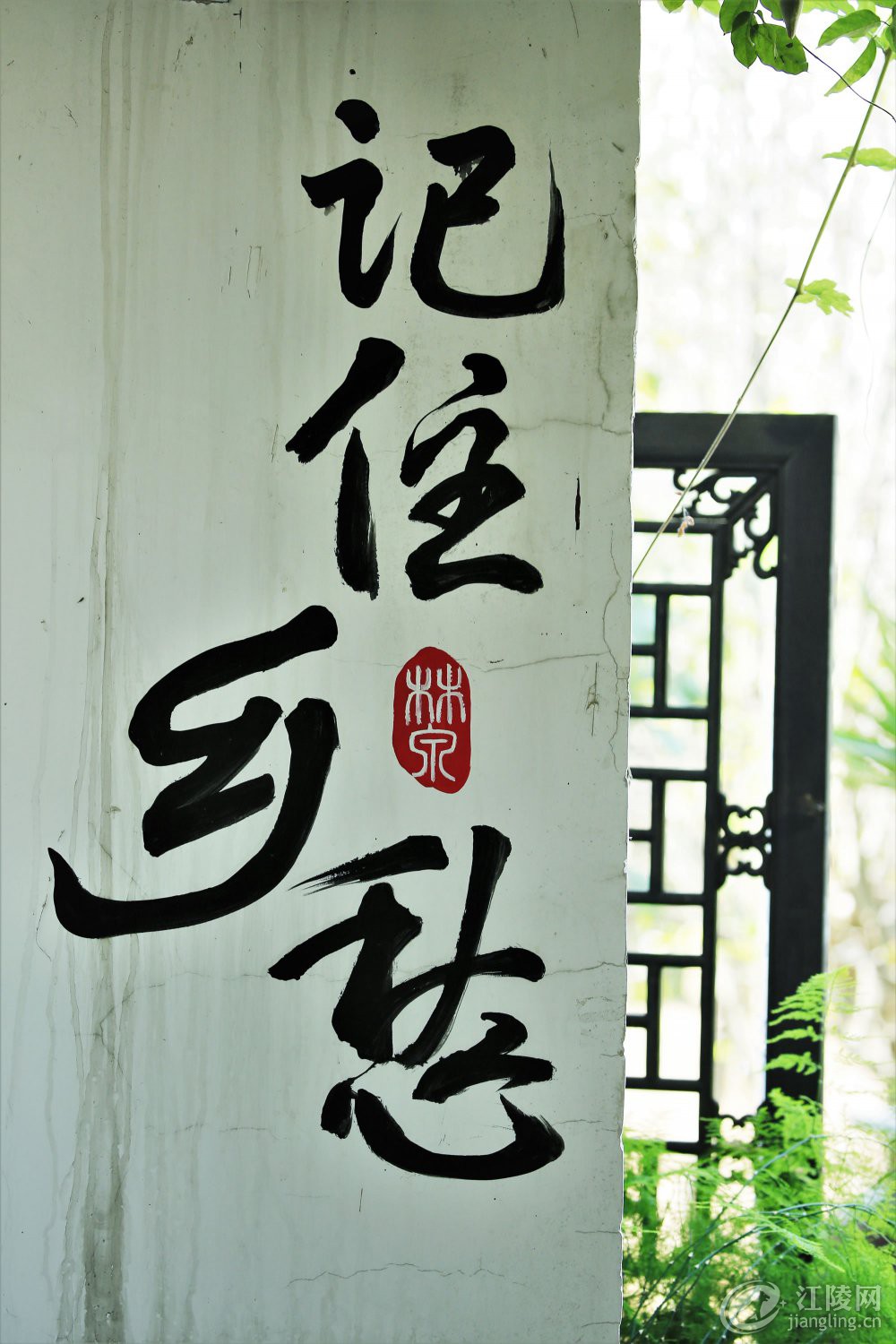 3G7A1594.jpg