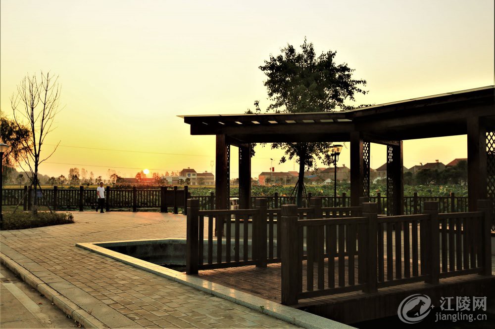 3G7A1634.jpg