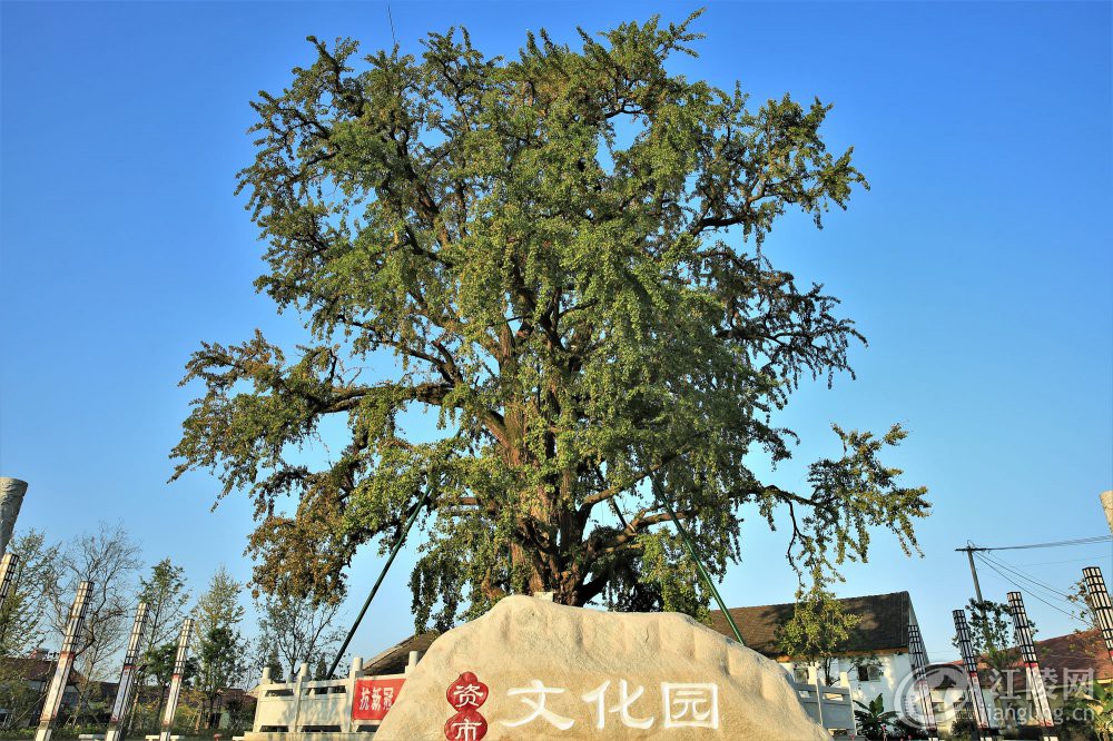 3G7A1650.jpg