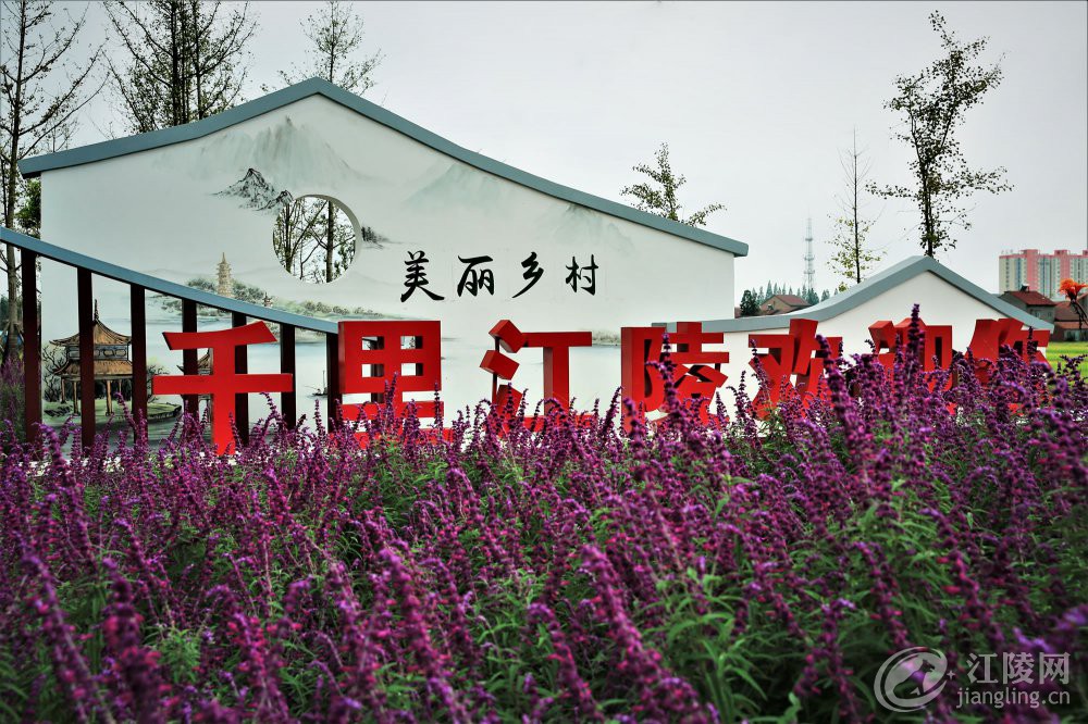 3G7A7881.jpg
