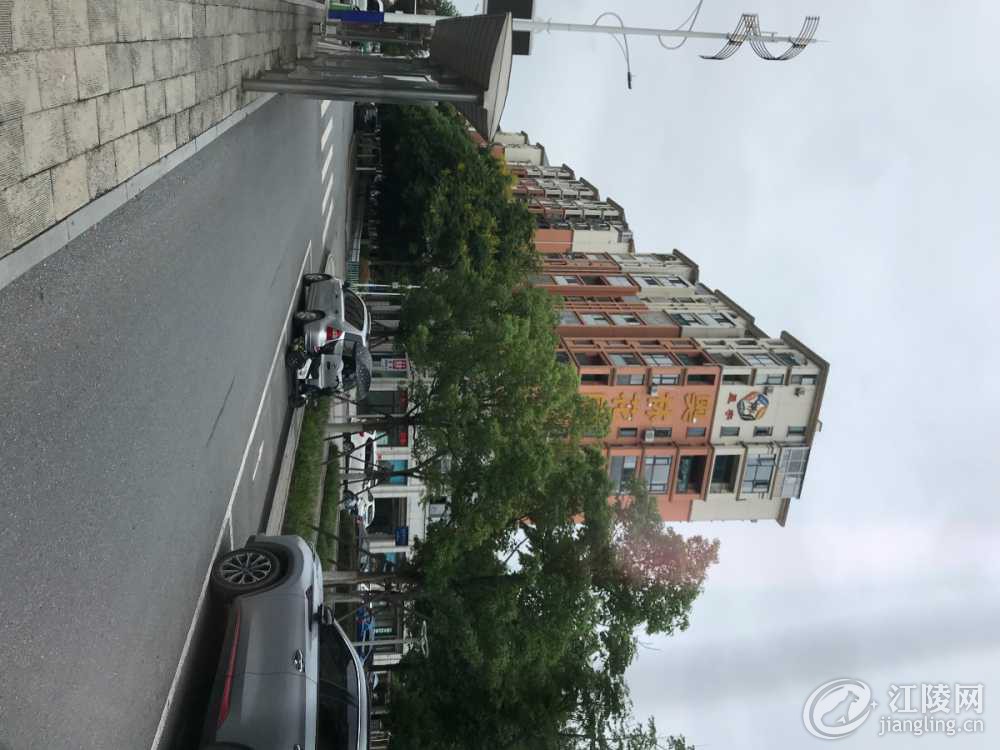 DB789B64-4C6E-4006-8CDE-DA05FE1DC6BA.jpeg