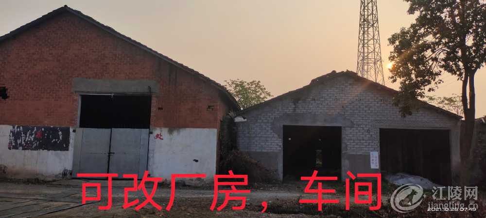 IMG_20211028_133025.jpg