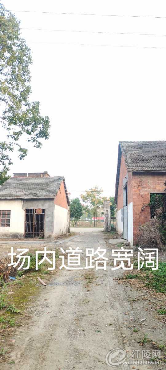 IMG_20211028_133142.jpg