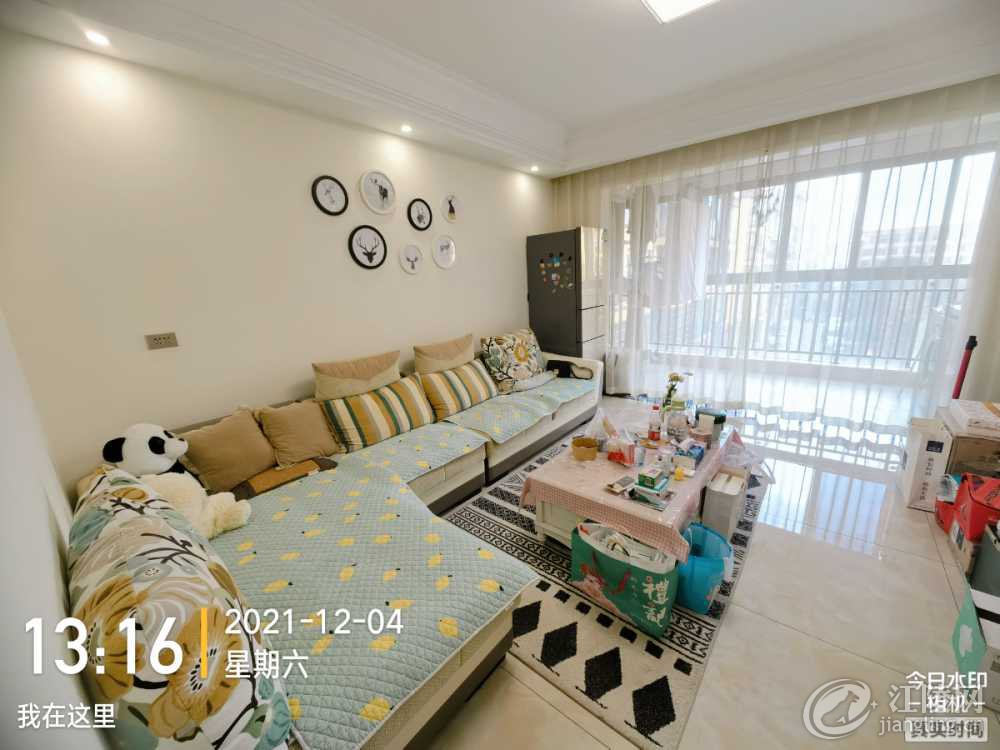 IMG_20211204_131706657.jpg