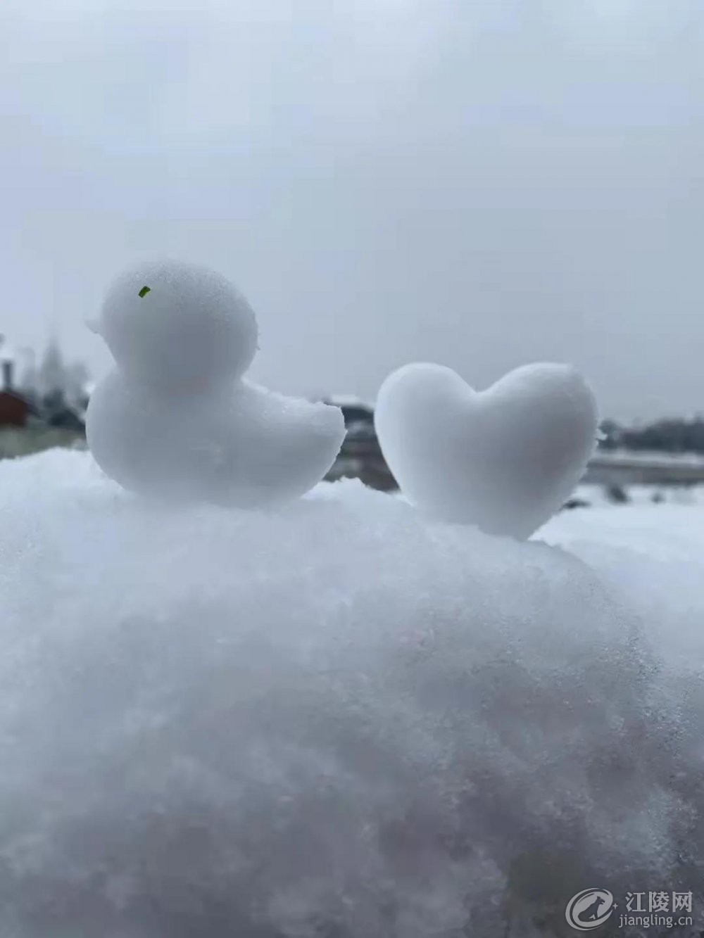 ΢��ͼƬ_20220209111835.jpg