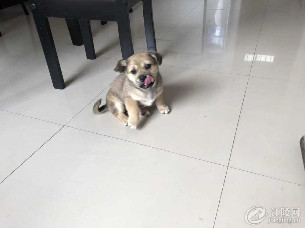 A28A99E0-B153-4111-B083-A0E915E32A75.jpeg
