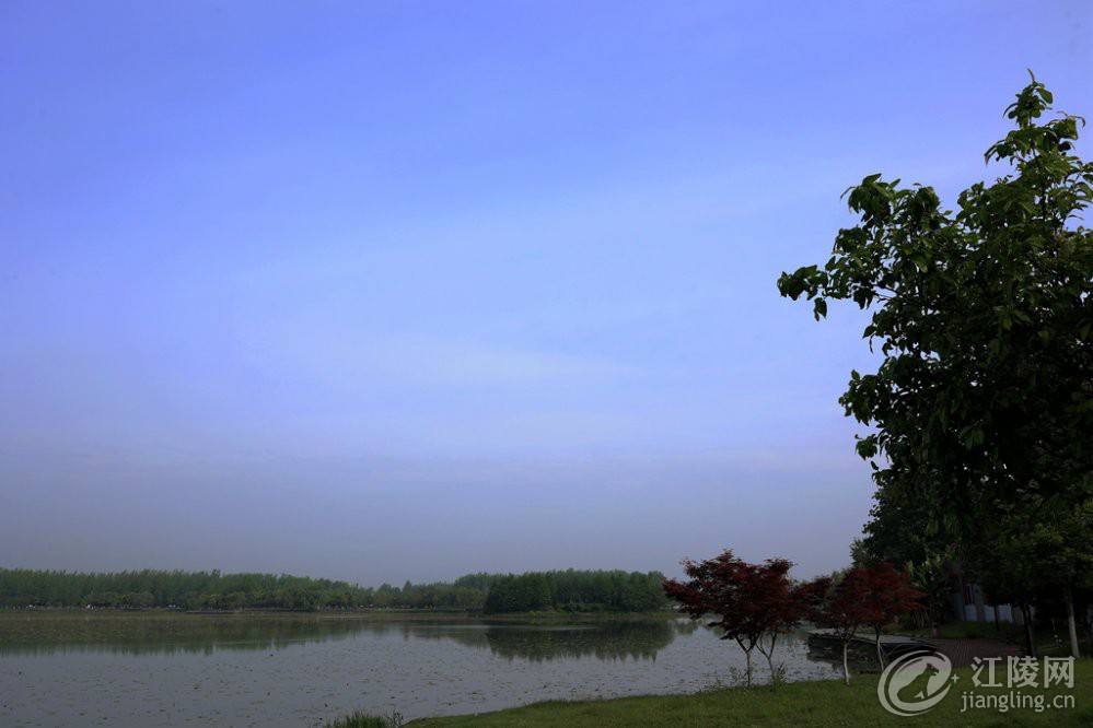 5P3A0033_����.jpg