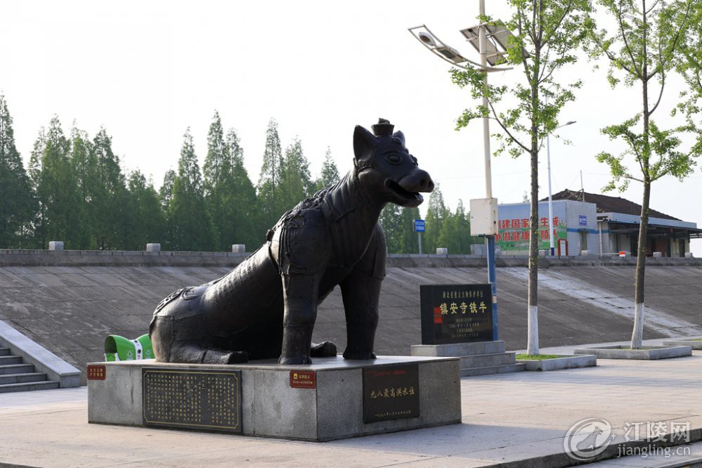 5P3A0007_����.jpg