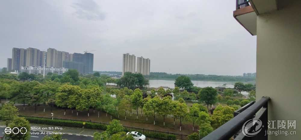 IMG_20220422_160945.jpg