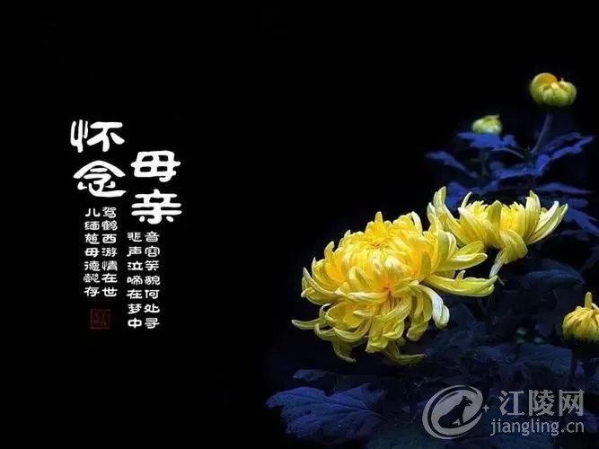΢��ͼƬ_20220509100419.jpg