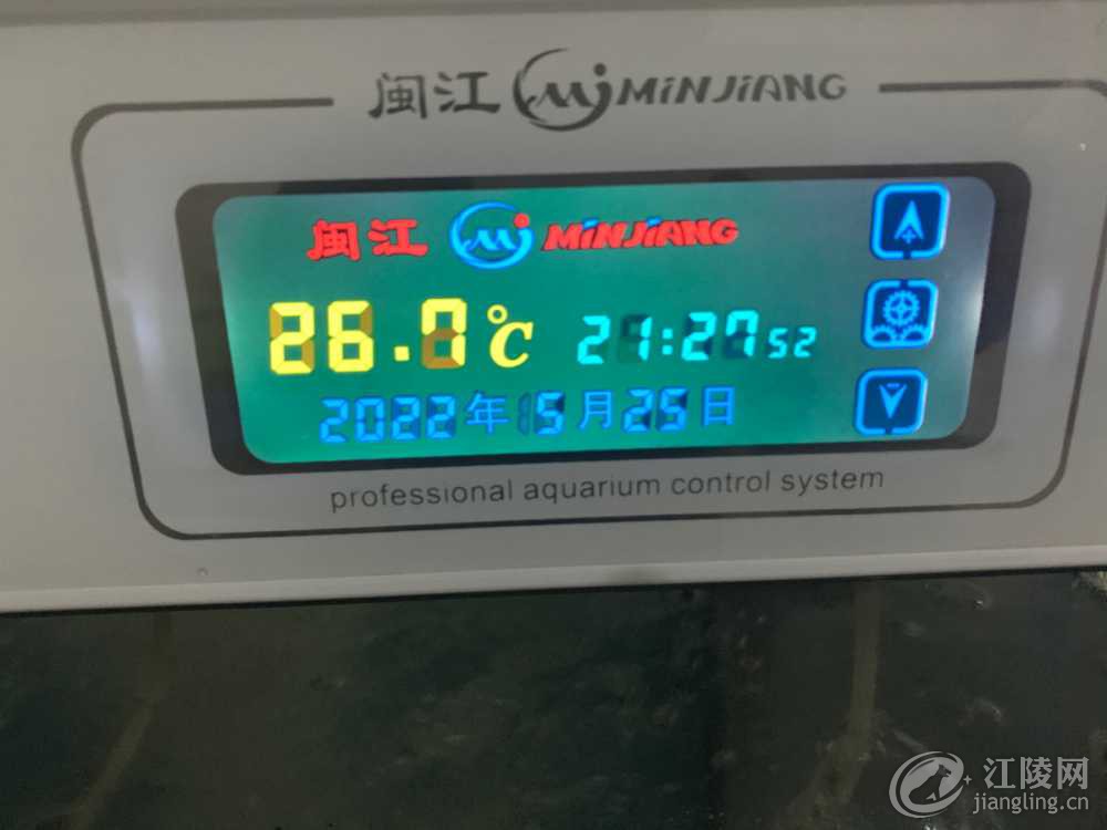 A4A1F266-037B-4F4D-8D52-91FEBC1CFDF5.jpeg