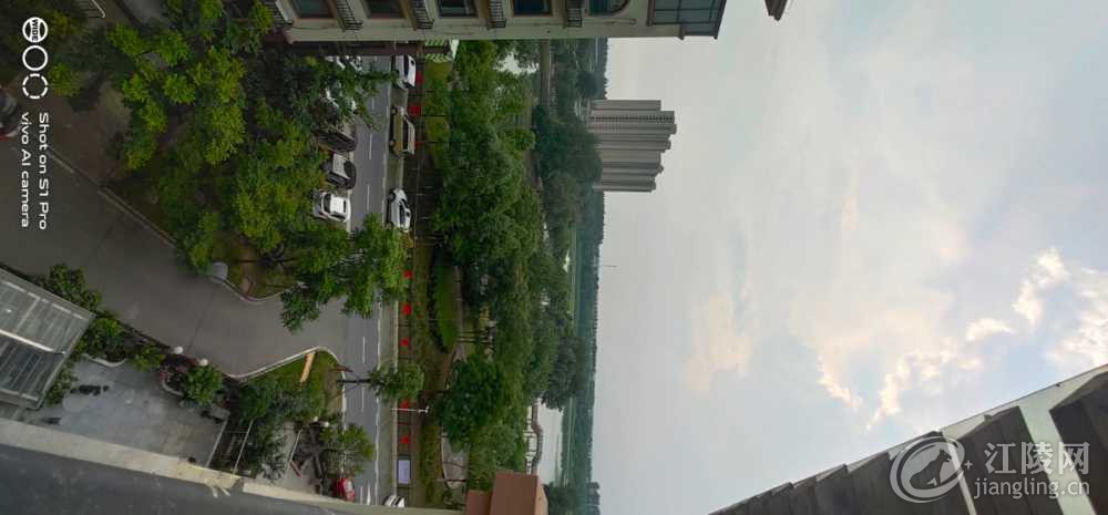 IMG_20220530_174330.jpg